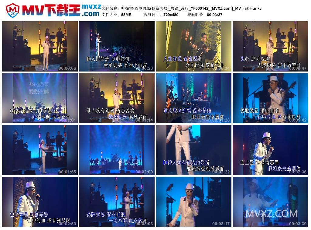 叶振棠-心中的血(翻新老歌)_粤语_流行_YF600142